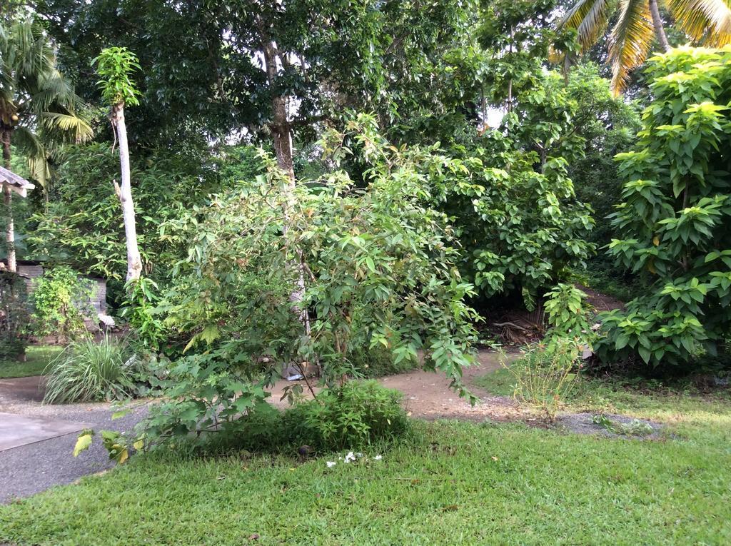 Вилла Fern Dale Велигама Номер фото